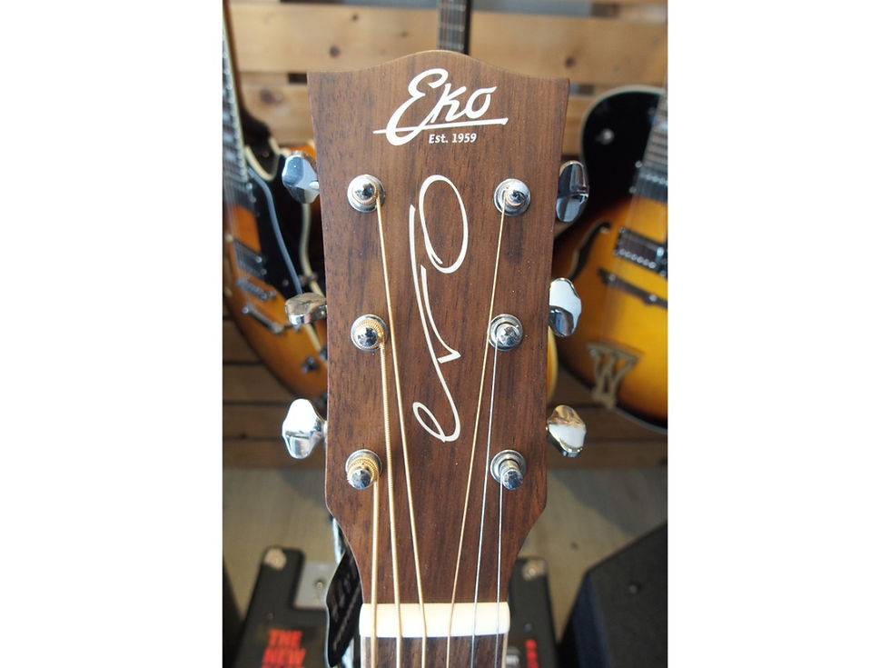 Miniatura: EKO Evo 3 baritona