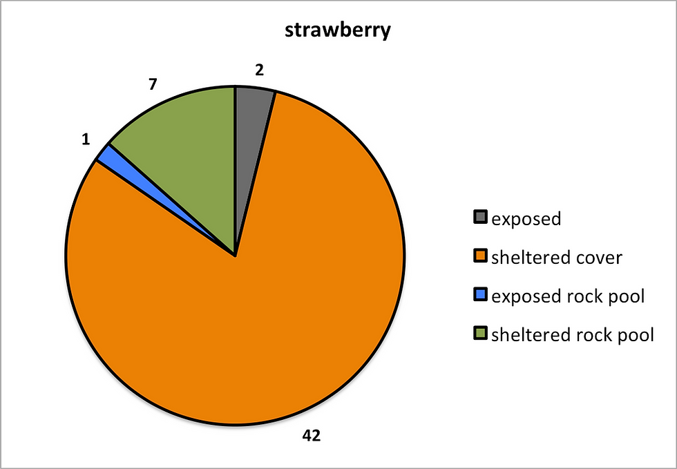 straw.png