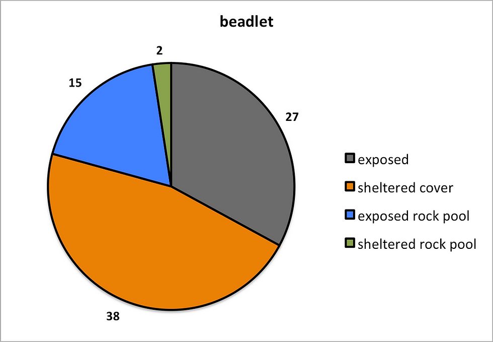 beadlet.png