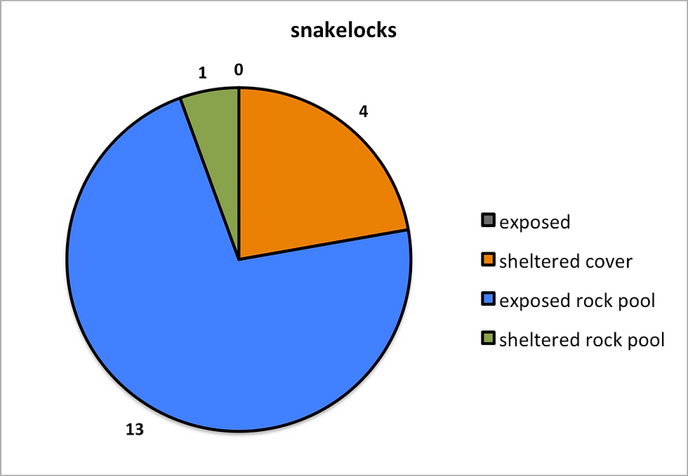 snake.png