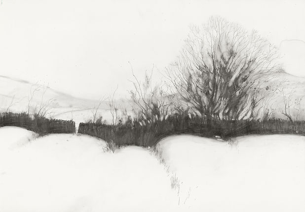 Gypsy Croft lower res.jpg