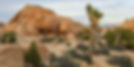 Jumbo-Rocks-Joshua-Tree-National-Park.jpg