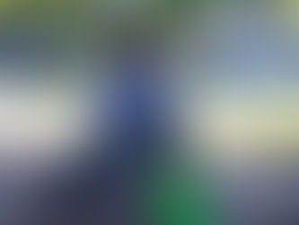 A Short Intro to the Venture Functional Movement Method