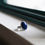 Thumbnail: Blue Lapis Lazuli Brushed Silver Ring