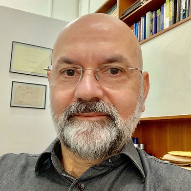 Joaquim Ferreira Martins Filho