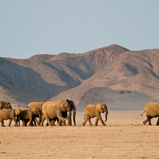 Namibia Ultimate Safari