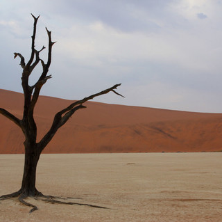 Namibia Ultimate Safari