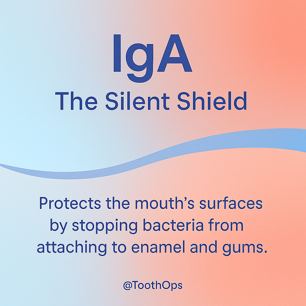 🧬 The Hidden Defenders: IgA, IgE & IgD — The Underrated Antibodies That Protect Your Smile