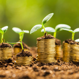 Access to finance