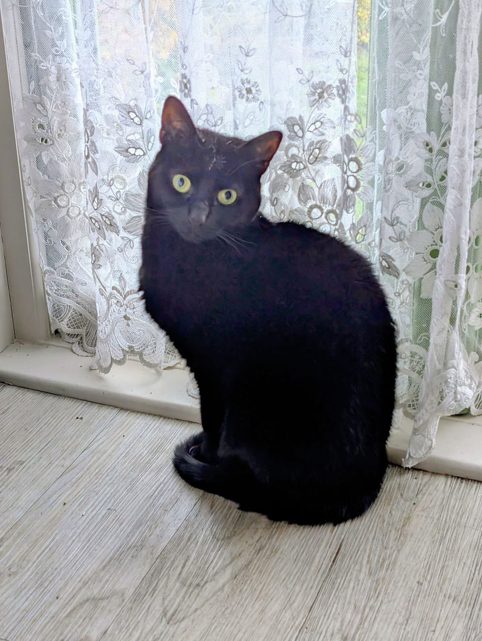 Clementine