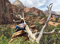 Zion Canyon 2018