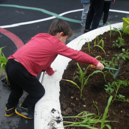 Séance de Jardinage