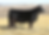 Thumbnail: Merlin