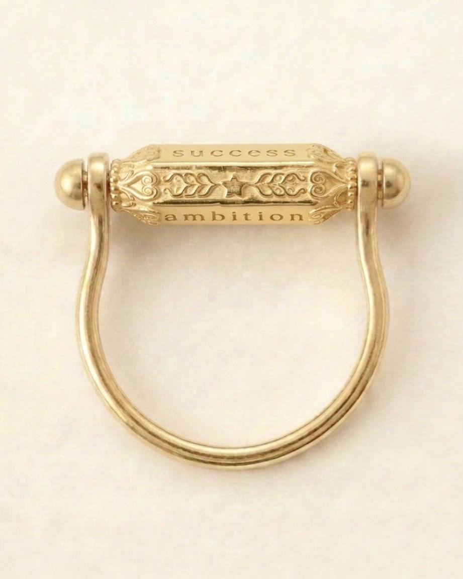 The Manifestation Ring