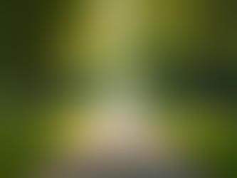 How My Father's Lesson on Never Saying Can't Shaped My Leadership Journey