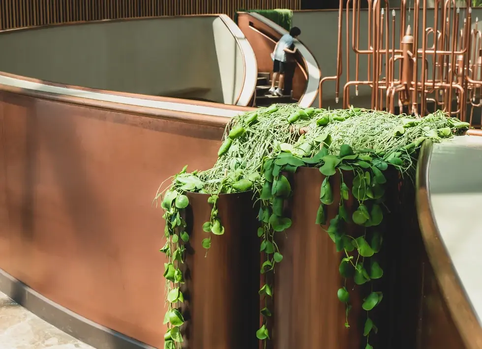 surdurulebilirlik-rehberi (1).webp