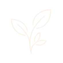 nature2.webp