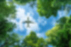 AdobeStock_858766359.jpeg
