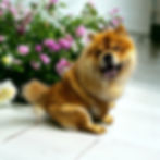 441162245_974546634675256_2607202779378222540_n