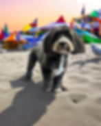 456151618_1052237823572803_2490920896053116208_n