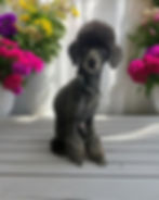 449747377_1013312210798698_5983098000280858092_n