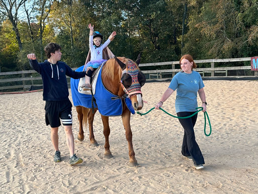 Learning Blance on the Horse