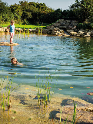 Three children stand on rocks by a sunny pond while one swims; green shrubs and stone edges reflect in calm water.