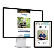 Email Campaign Marketing Devon