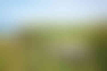 South West Coast Path near The St Moritz Hotel Cornwall