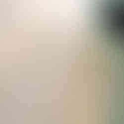 Sonia Shomalzadeh Artwork