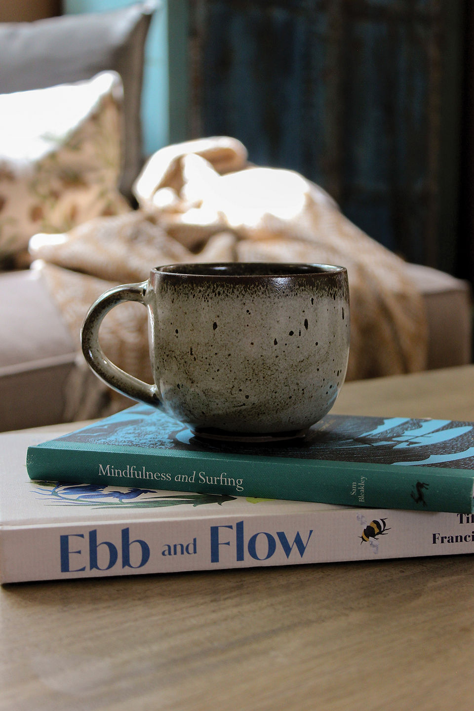 Close-up of a ceramic mug placed on books, with soft furnishings blurred in the background.