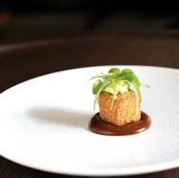 Crispy Duck, Cucumber & Hoisin - A Food Evolution