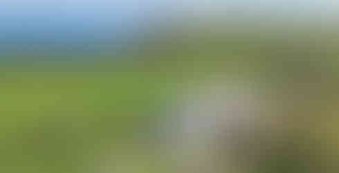 Raddons and Wharrastone, Raddons, Wharrastone, St Gennys, north Cornwall, north Cornwall coast, Atlantic coast Cornwall, Cornwall coastal property, Cornwall barn conversion, converted barns Cornwall, coastal homes Cornwall, sea view property Cornwall, Atlantic views, holiday let Cornwall, holiday letting income, residential consent, open-plan kitchen, open-plan living, vaulted ceilings, exposed timber beams, exposed structural timbers, granite worktops, integrated appliances, utility room, wood-burning stove, countryside and sea views, South West Coast Path, paddock and gardens, coastal hamlet Cornwall, period barn conversion, refurbished property Cornwall, flexible accommodation, double bedrooms, modern fitted kitchen, Jackson-Stops, Cornwall property for sale, St Gennys property, north coast Cornwall home, proven letting income, character property Cornwall