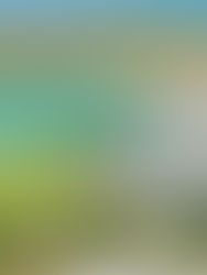 Pilots at Porthcothan Bay near Padstow for sale with Jackie Stanley