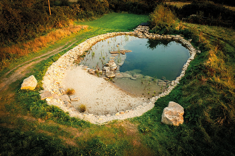 Oval stone-lined pond in a grassy field at sunset, with clear water, sandy edge, and a calm, natural landscape.