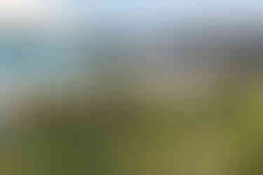 The view from The Coverack Bay Hotel