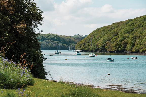 Boats on a tranquil river surrounded by lush green hills and trees. A foreground with flowers and grass. Bright, sunny day.
