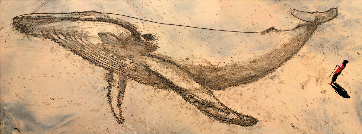 Sonia Shomalzadeh Artwork © Tom Skinner