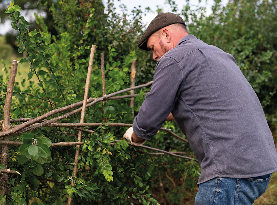 Paul Lamb, Paul Lamb hedgelayer, West Country hedgelayer, Of Thorn and Briar, hedgelaying, traditional hedgelaying, rural craft, countryside skills, British hedgerows, West Country countryside, rural life, regenerative farming, hedgerow restoration, ancient hedgerows, field boundaries, wildlife habitat, nesting birds, small mammal habitat, agricultural landscape, farm conservation, billhook, hedge stakes, laid hedge, Midland style hedgelaying, rural heritage, working countryside, practical conservation, land management, nature restoration, biodiversity in farmland, traditional countryside craft, Gower Peninsula, South Wales countryside, North Devon views, West Country book, Simon and Schuster, craft and conservation, outdoor life, seasonal work, rural memoir, sustainable farming landscape, hedge restoration