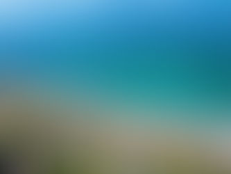 gyllyngvase beach in Falmouth, next to the St Michaels resort