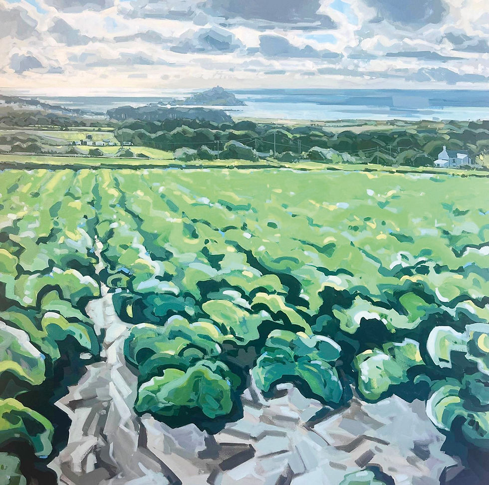 Sunshine in the Cabbage Patch 100x100cm acrylic on canvas