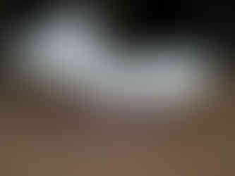 Fish, Portland limestone