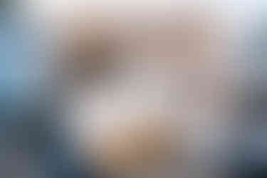 The Royal Castle Dartmouth St Austell Brewery