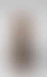 Royal Albert Memorial Museum & Art Gallery Exeter, RAMM Victorian museum and art gallery, Gothic Revival museum building Exeter, regional museum with national collections, contemporary approach to historic collections, interdisciplinary museum displays, conversations between art and science, geology zoology archaeology social history together, Art Fund Museum of the Year 2012, accessible museum for all ages, free entry museum Exeter, Designated World Cultures collections, Designated Natural Sciences collections, critical dialogue with the past, reinterpreting imperial-era collections, contemporary art commissions in museums, Charmaine Watkiss From the ones who came before, Charmaine Watkiss Flash of the Spirit drawing, nkisi figure West African spiritual object, World Cultures gallery RAMM, African masks collection Exeter, Rivers to Cross woven mask, Mukenga helmet mask Kuba people, ancestral spirits and botanical knowledge, transatlantic slave trade memory stories, women’s herbal knowledge and plant medicine, continuity between past and present, challenging colonial museum narratives, Wow! Amazing Science in Children’s Books exhibition, children’s science illustration show, Oliver Jeffers science illustrations, Colin King book art, Yuval Zommer ecology books, astrophysics anatomy ecology for children, themed galleries from early science to AI, Galileo Ada Lovelace Wangari Maathai displays, kids tracing human body and solar system, interactive Easter holiday science workshops, fossils engineering space travel sessions, local science educators at RAMM, free family activities in Exeter, Grayson Perry Aspects of Myself exhibition, Grayson Perry ceramics textiles tapestries, A Map of Days artwork, Mad Kid’s Bedroom Wall, A House for Essex Julie Cope, tile moulds and tapestries on display, humour and identity in contemporary art, exploring class and aspiration through craft, museum interrogating imperial legacy, council and Arts Council England funded museum, civic museum as community resource, inviting visitors to question collections, regional museum with national reach, thoughtful exhibition design and storytelling, museum encouraging difficult conversations, reinterpretation of incomplete collections, intellectual ambition outside London, day out in Exeter for art and history lovers, inspiring museum visit for Cornwall and Devon visitors, blending heritage with contemporary debate, dynamic civic space in the South West, rammuseum.org.uk