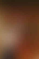 The range of drinks available at The Royal Castle Dartmouth, St Austell Brewery