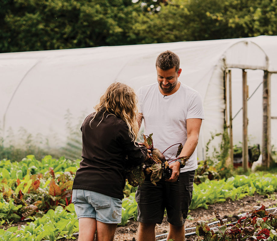 Two people harvesting greens in a garden, smiling. A white greenhouse and lush plants are in the background, creating a relaxed mood.
