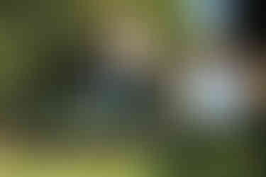 Carpenter Oak in Devon, Timber framed building, Oak framed building, cabin style, devon cabin, cabin devon, cornwall cabin, cabin cornwall, riverside cottage, river view, coastal view, timber framed house, modern house, modern architecture