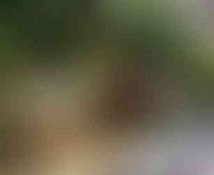 Barrel Saunas at St Michaels Resort in Falmouth