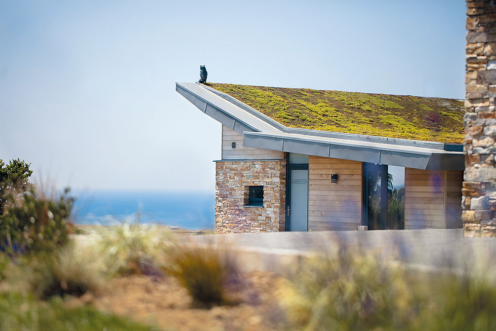 Gwella Hills at Wooda Farm