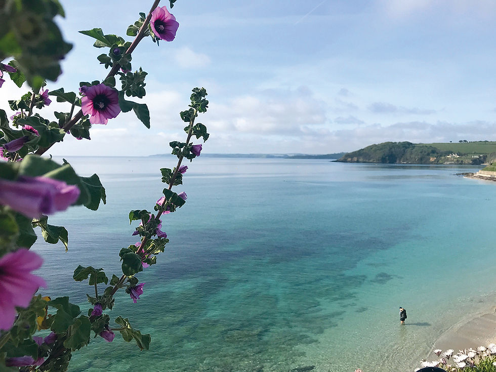 Taking a Dip in the ocean at a beach in Cornwall